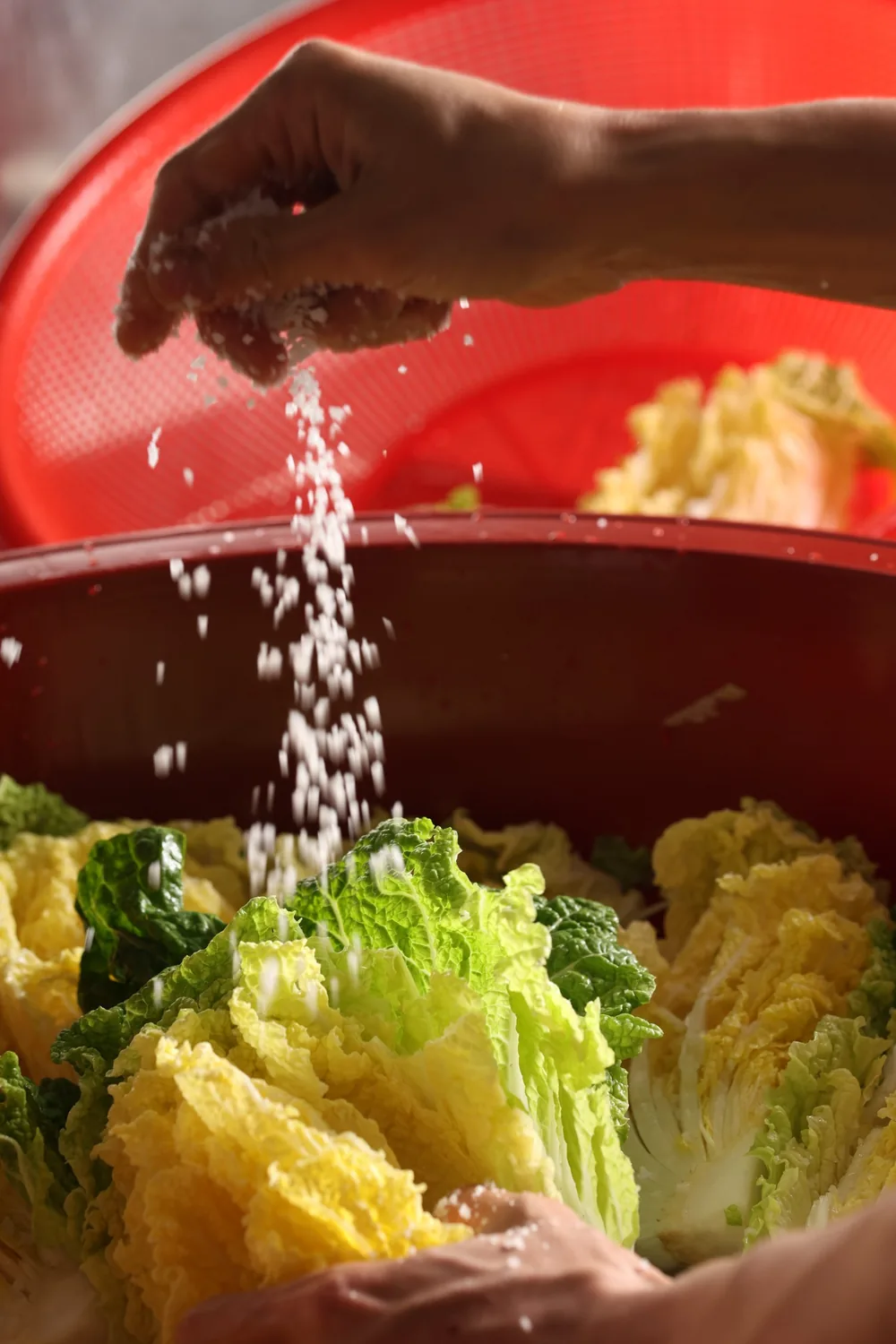 Coarse salt thrown over halved cabbage